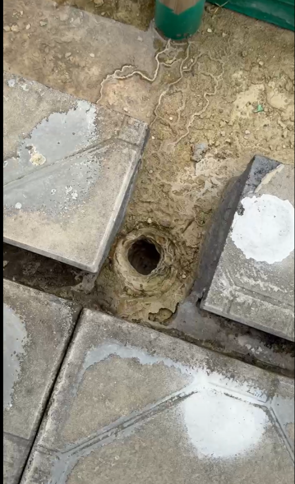 屋頂防水案件圖片