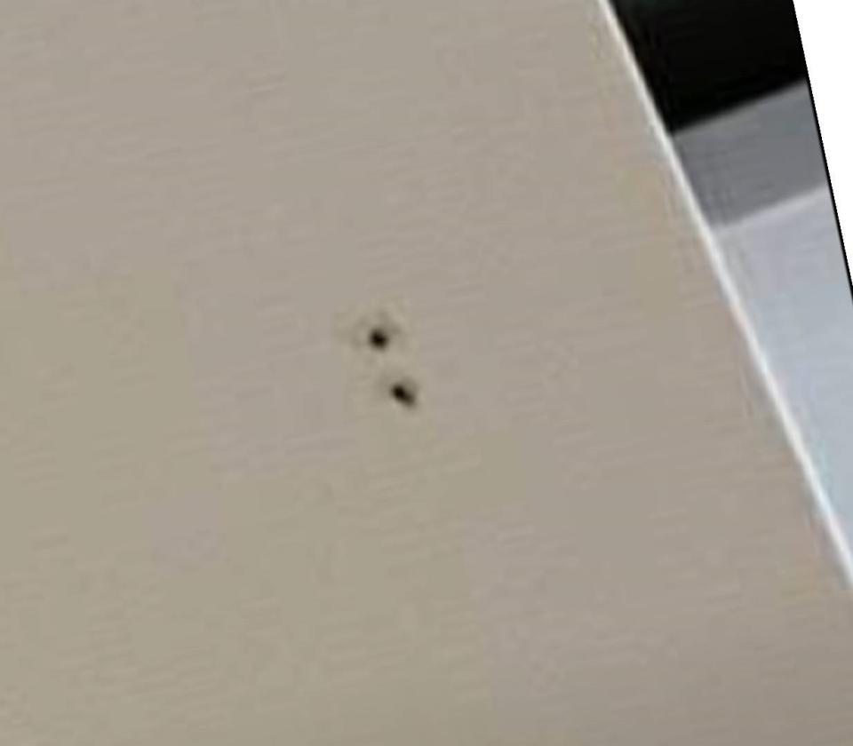 木地板打磨翻新案件圖片