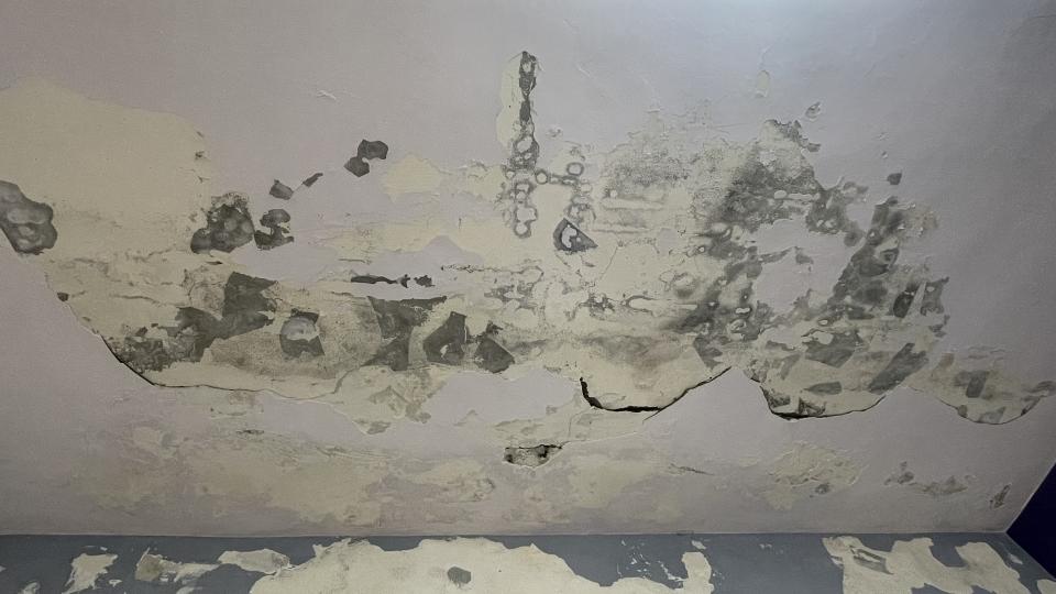 壁癌處理案件圖片