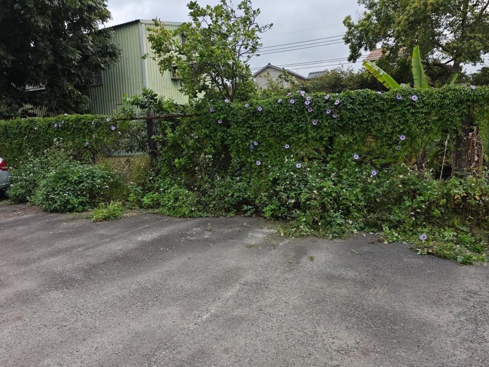 園藝維護案件圖片