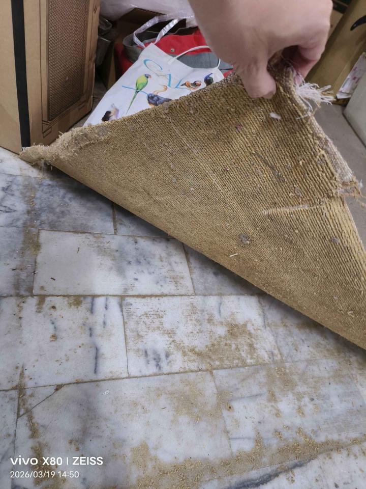 大型垃圾回收案件圖片