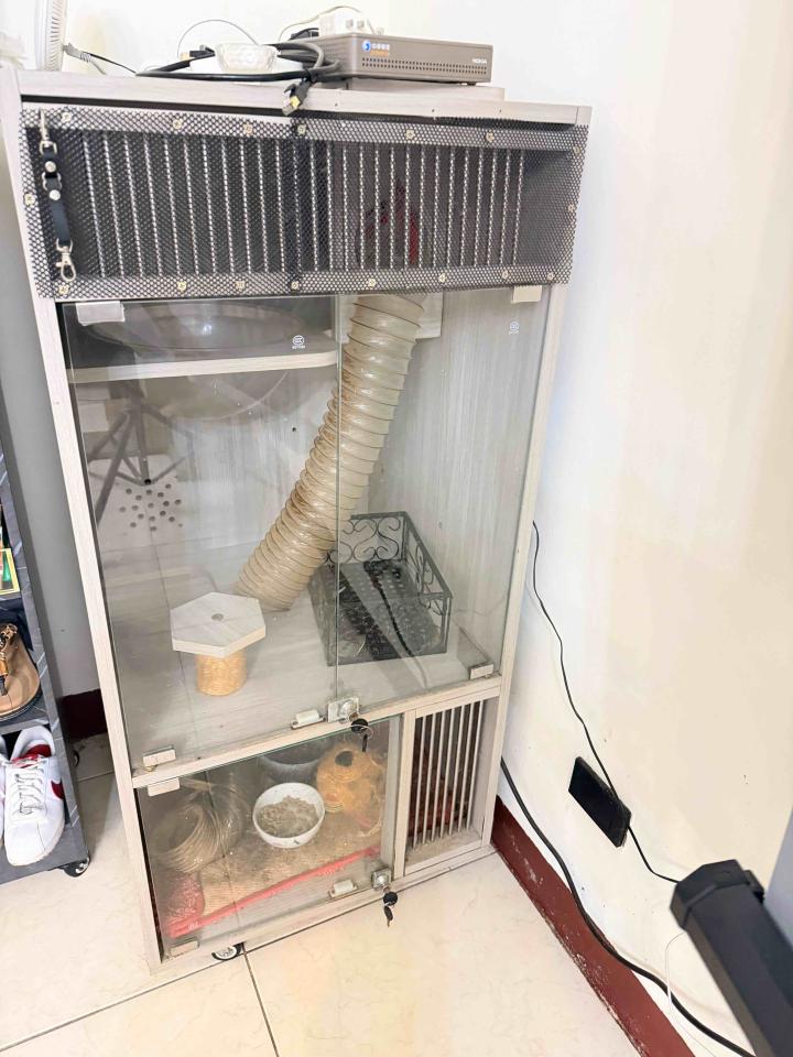 大型垃圾回收案件圖片