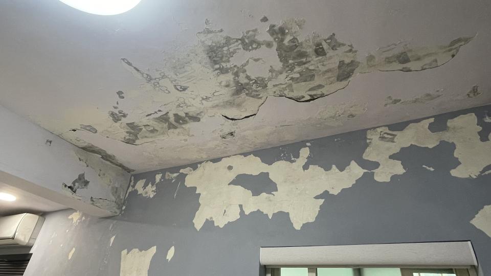 壁癌處理案件圖片