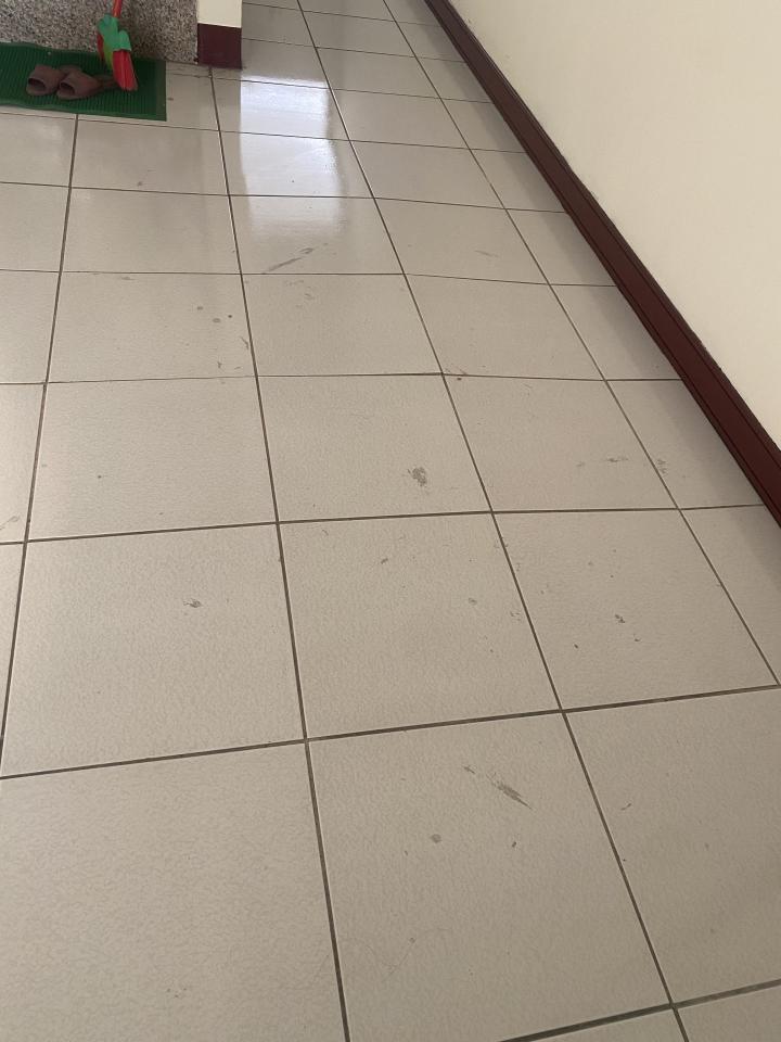 磁磚修補案件圖片