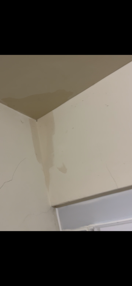 油漆工程案件圖片