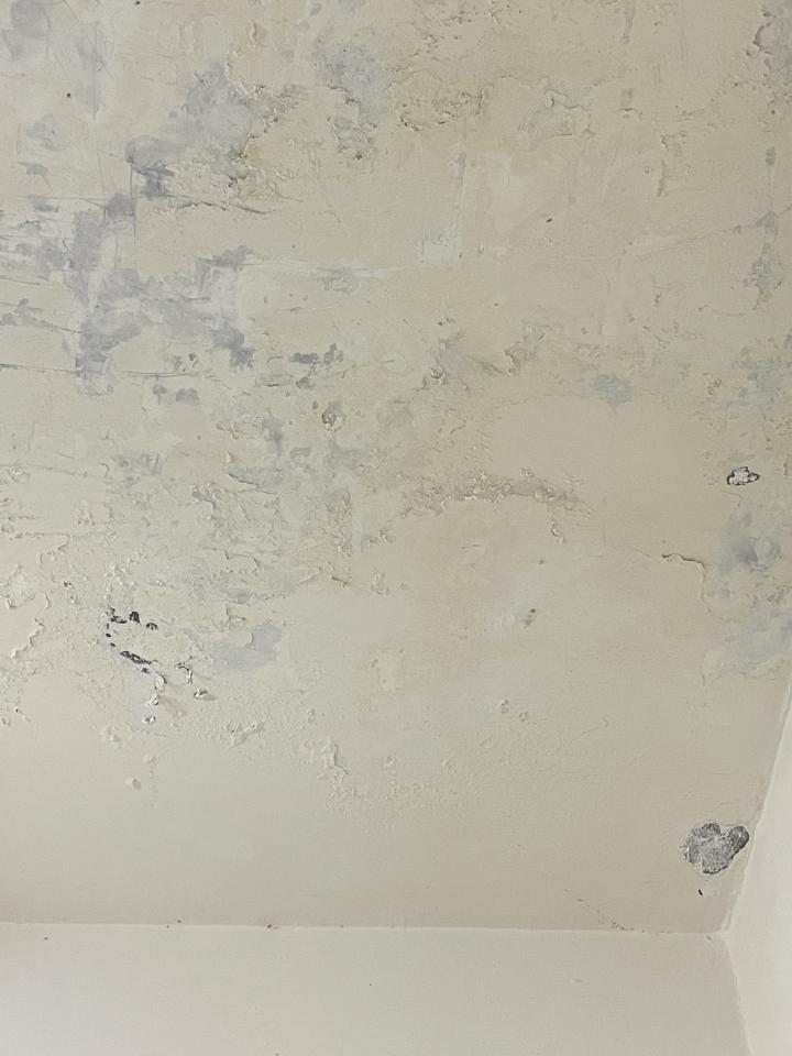 油漆工程案件圖片