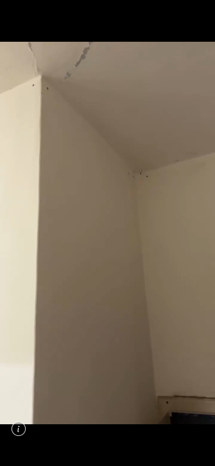 拆除工程案件圖片