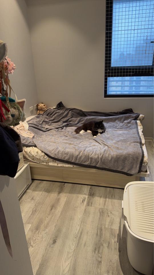 搬家清潔案件圖片