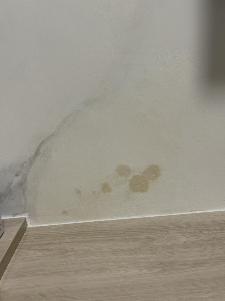 油漆工程案件圖片