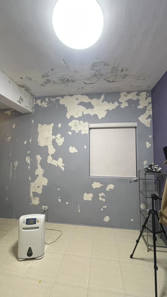 壁癌處理案件圖片