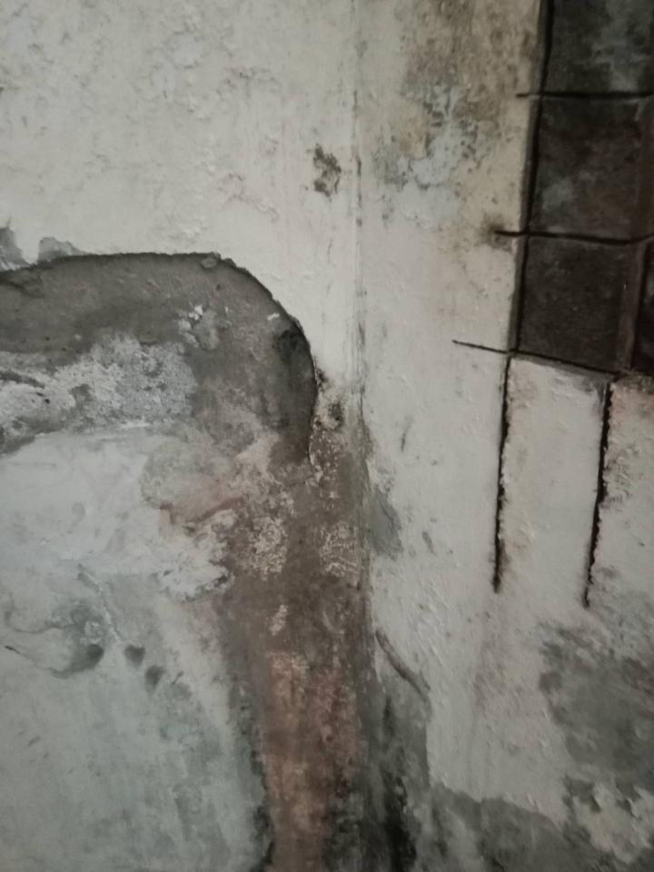 漏水鑑定案件圖片