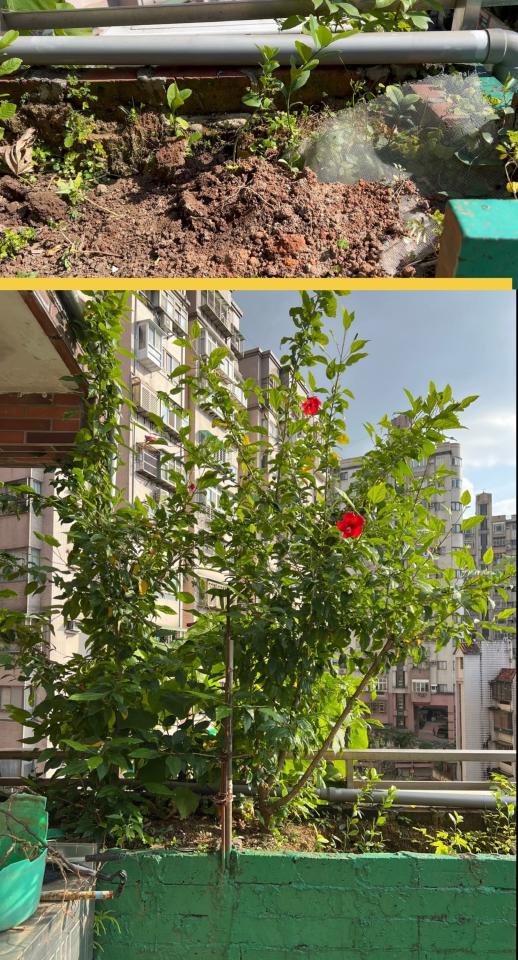 拆除工程案件圖片