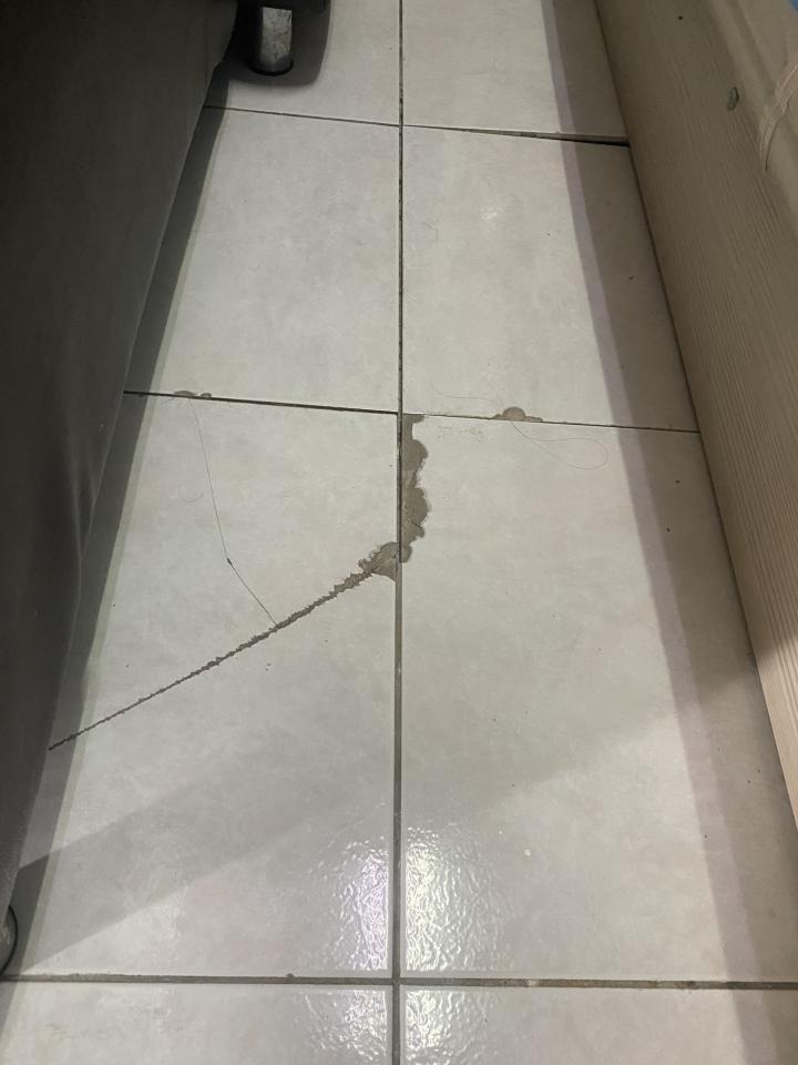 磁磚修補案件圖片