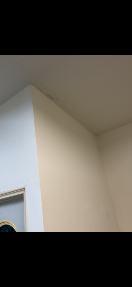 油漆工程案件圖片