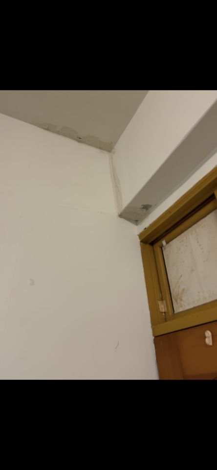 油漆工程案件圖片