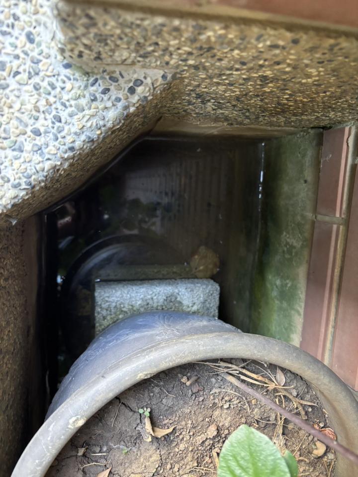 通馬桶案件圖片