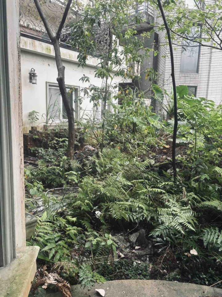 園藝維護案件圖片