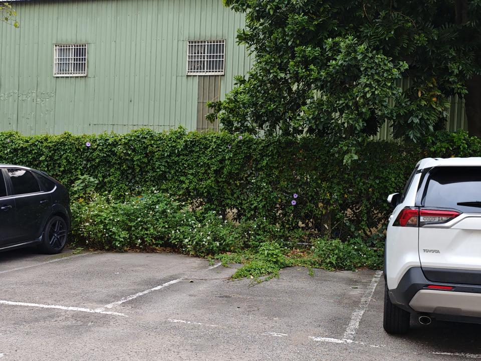 園藝維護案件圖片