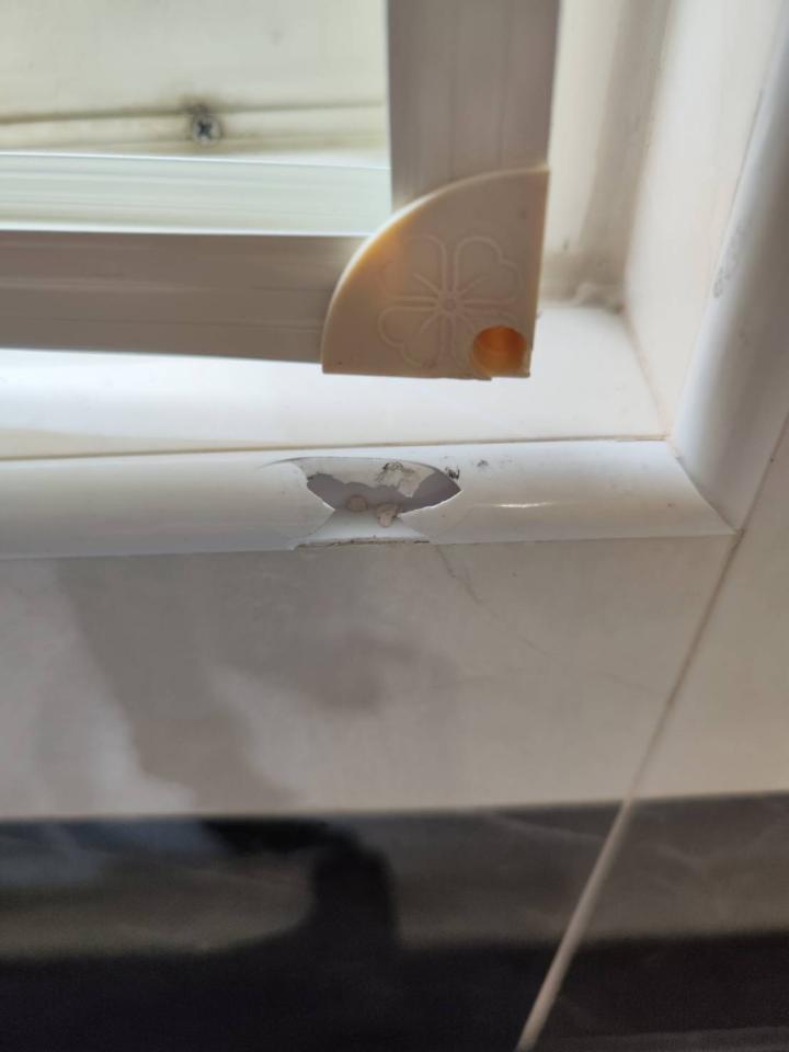 泥作/水泥施工案件圖片