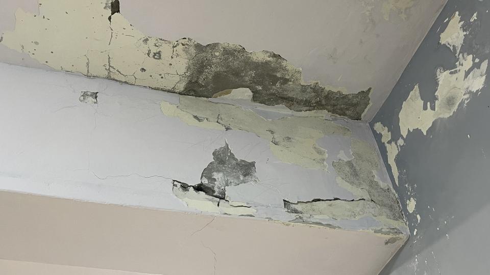 壁癌處理案件圖片