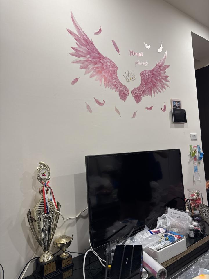 電視壁掛架安裝案件圖片