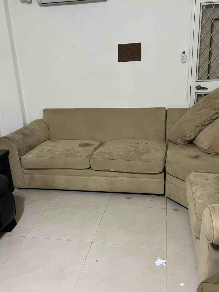 沙發清潔案件圖片