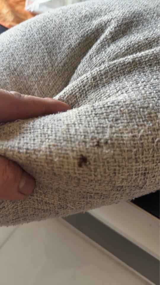 沙發修理案件圖片