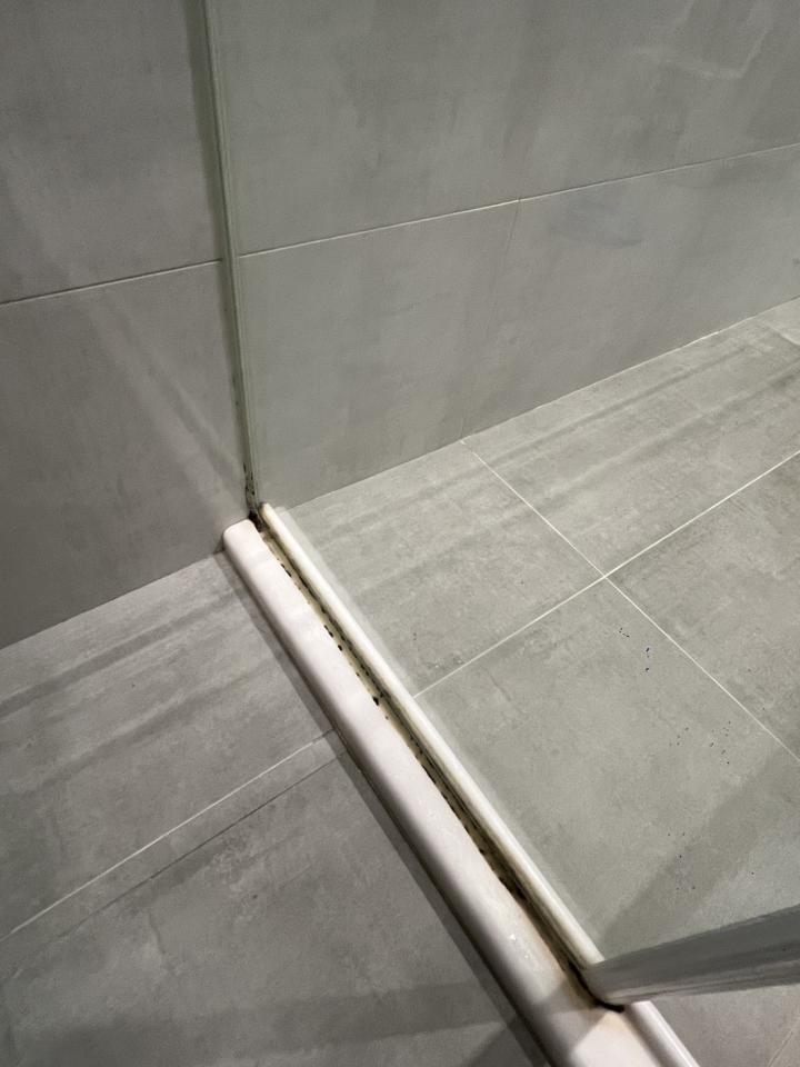 矽利康工程案件圖片