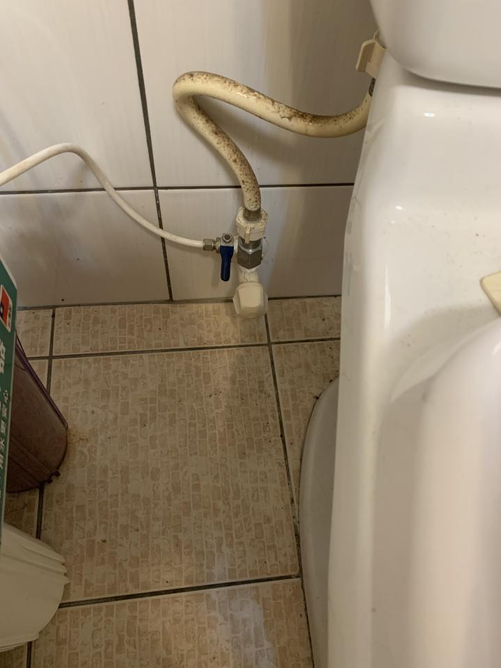 馬桶裝修案件圖片