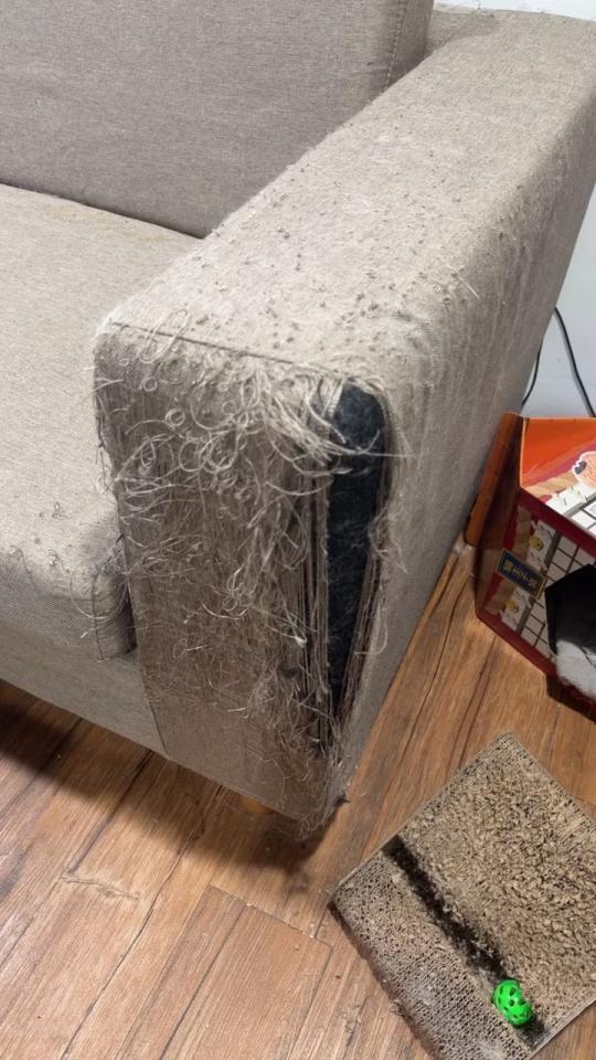 沙發修理案件圖片