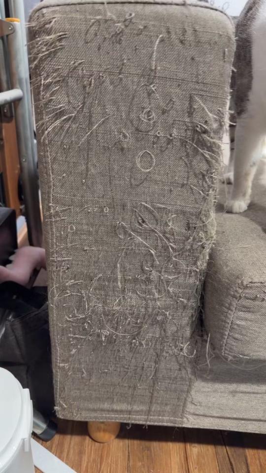 沙發修理案件圖片