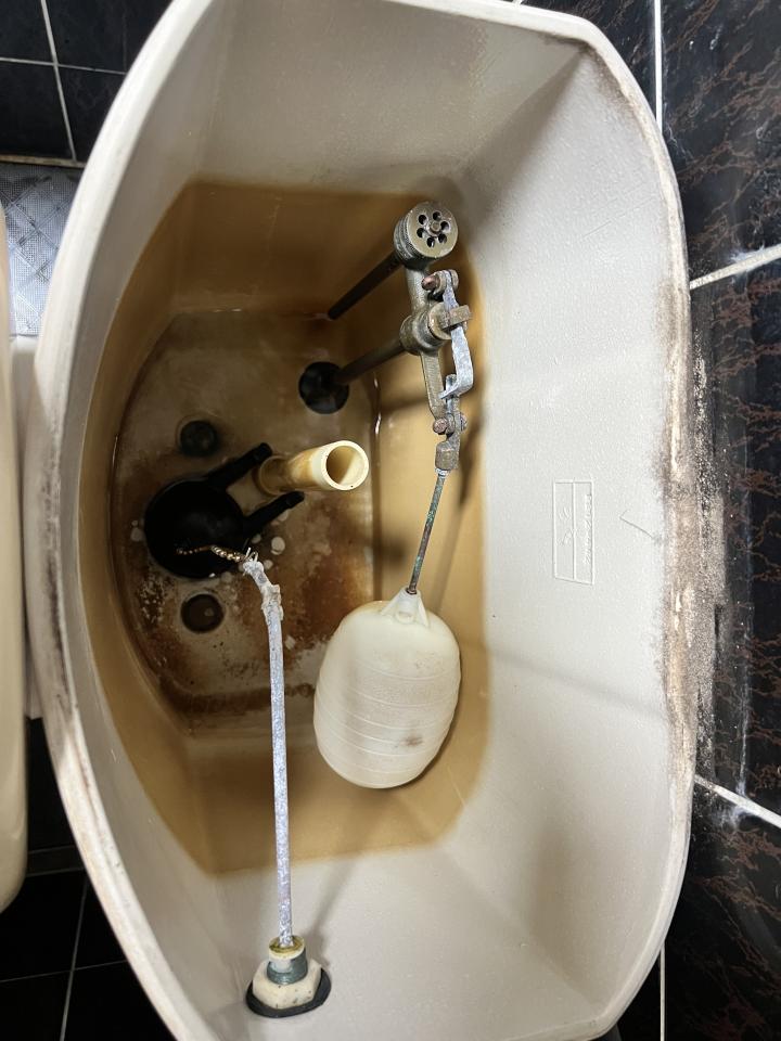 馬桶裝修案件圖片