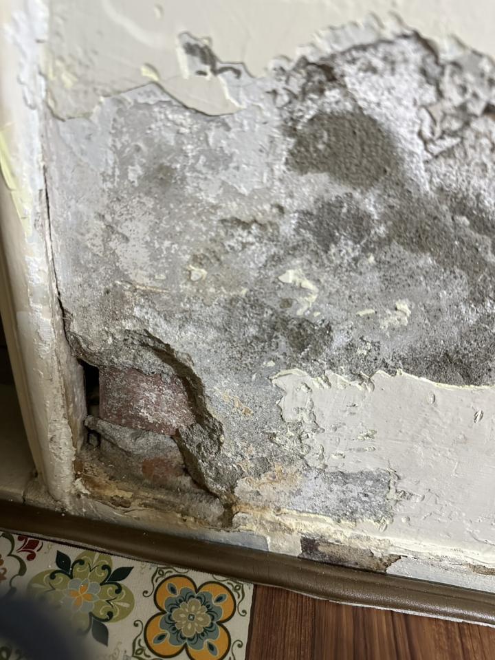 泥作/水泥施工案件圖片