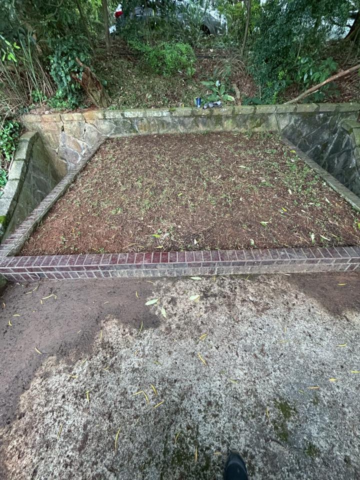 園藝維護案件圖片