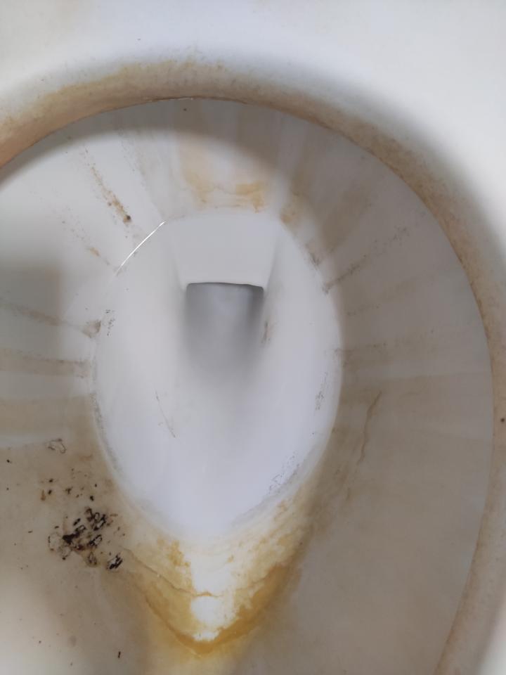 馬桶裝修案件圖片