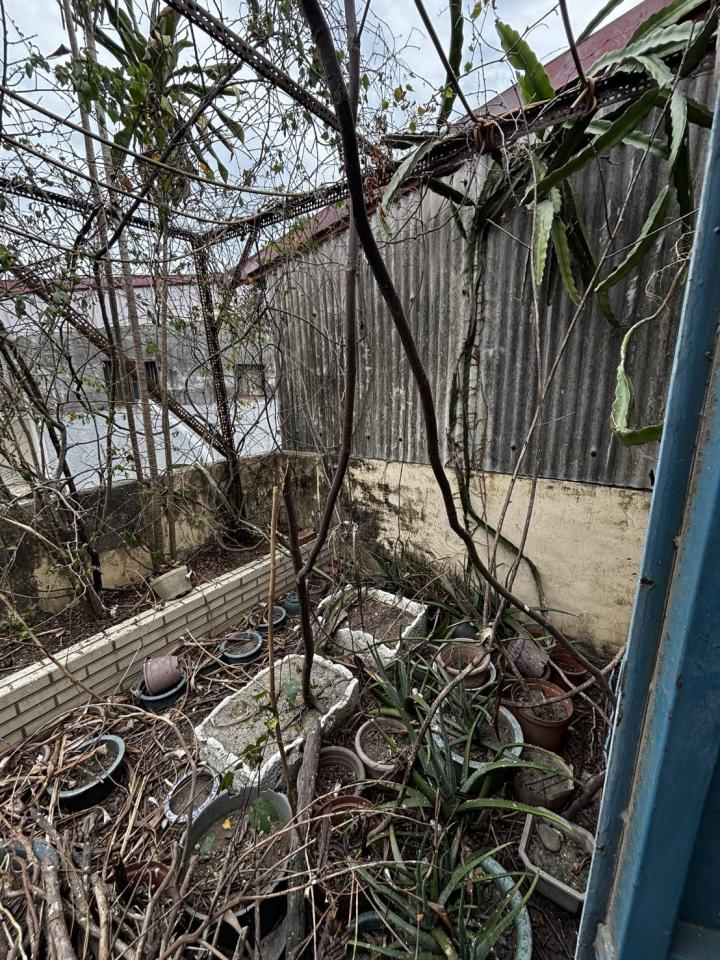 大型垃圾回收案件圖片