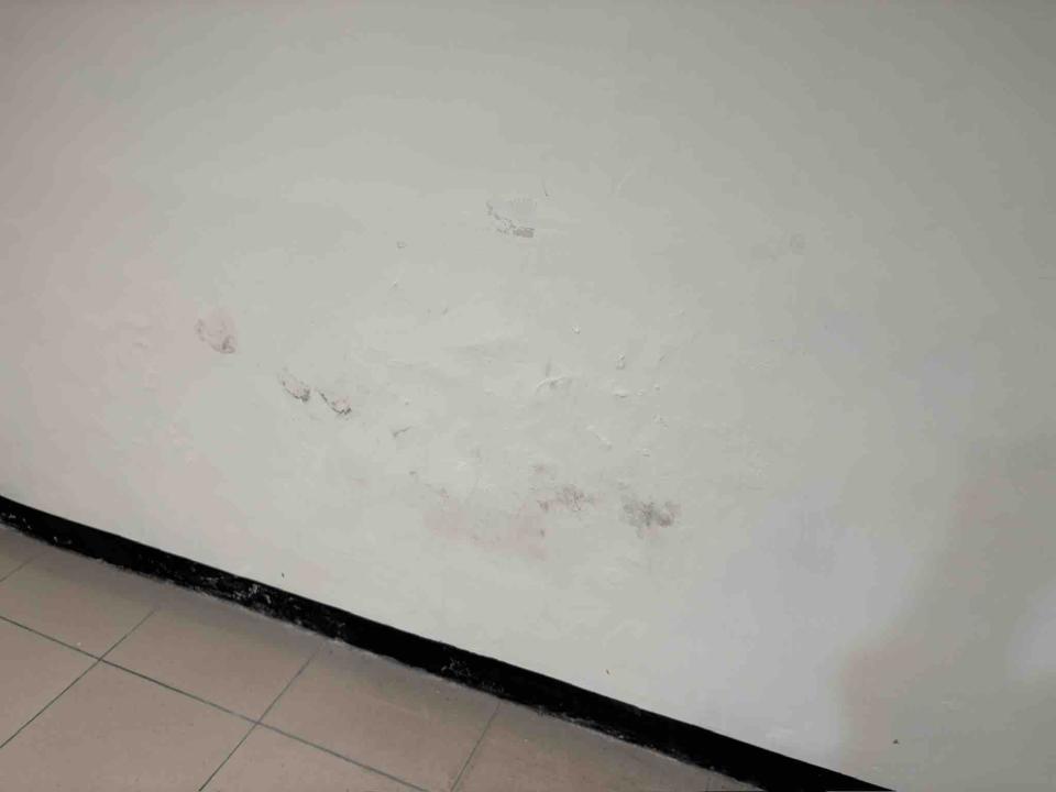 壁癌處理案件圖片