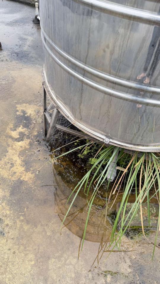 水塔漏水維修案件圖片