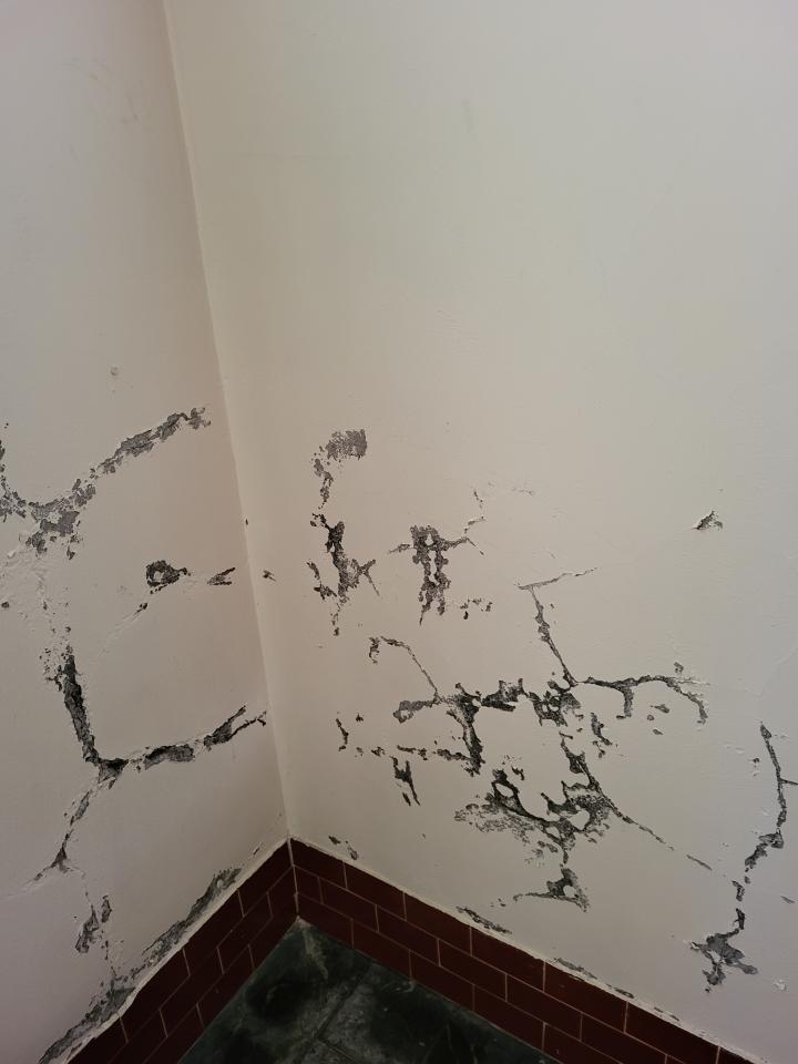 壁癌處理案件圖片