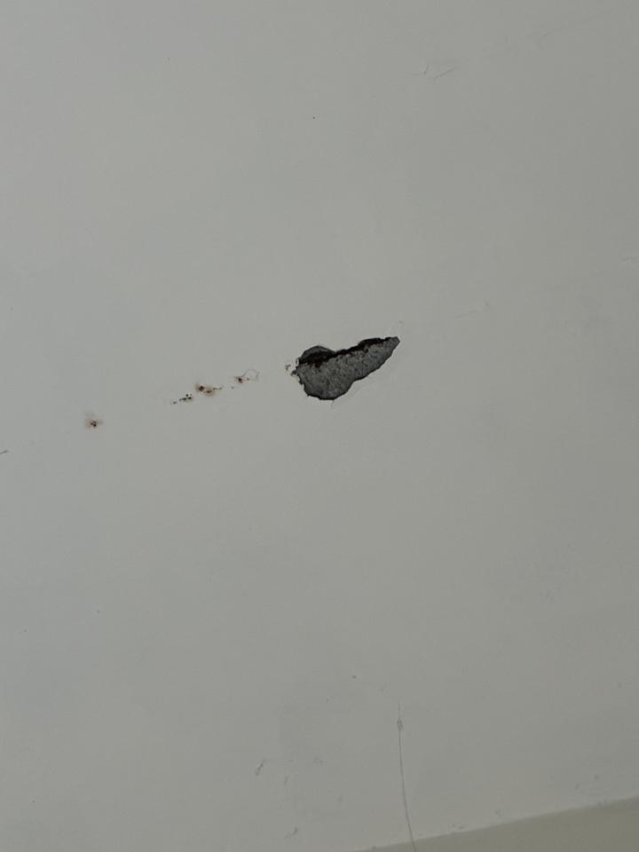 油漆工程案件圖片