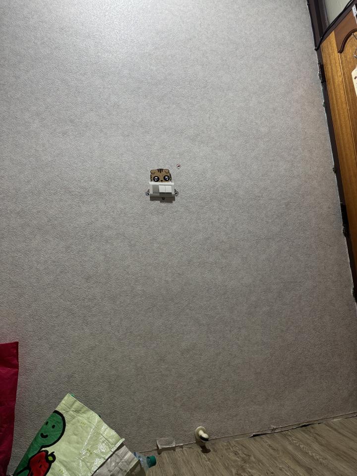 電線裝修案件圖片