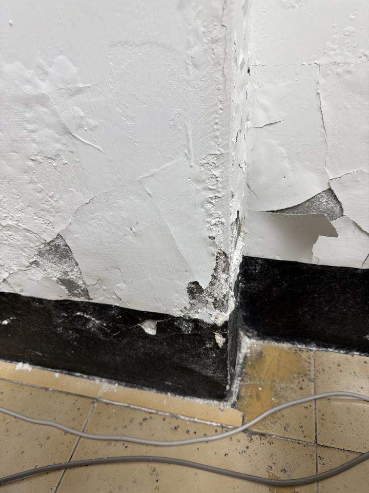 壁癌處理案件圖片