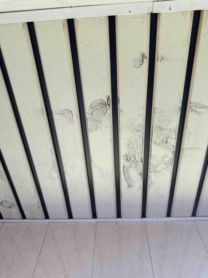 拆除工程案件圖片