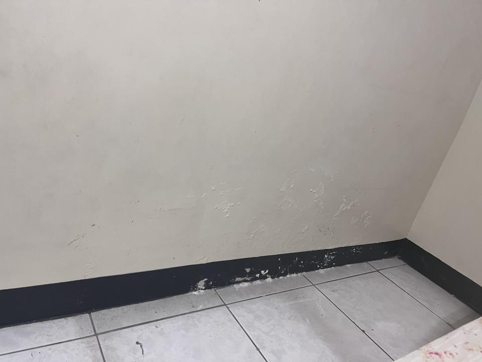 壁癌處理案件圖片