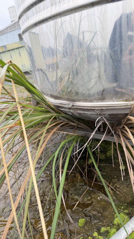 水塔漏水維修案件圖片