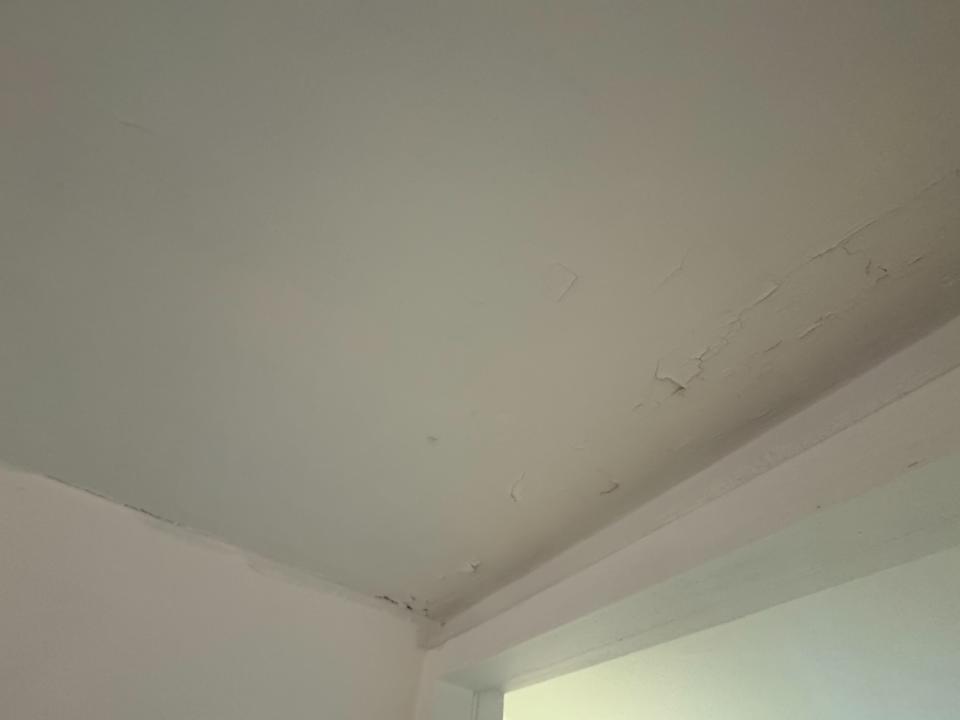 油漆工程案件圖片