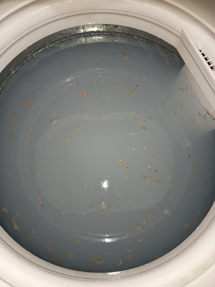 洗衣機清洗案件圖片