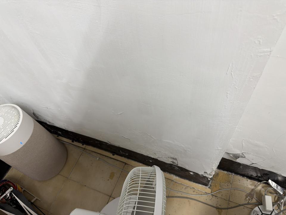 壁癌處理案件圖片