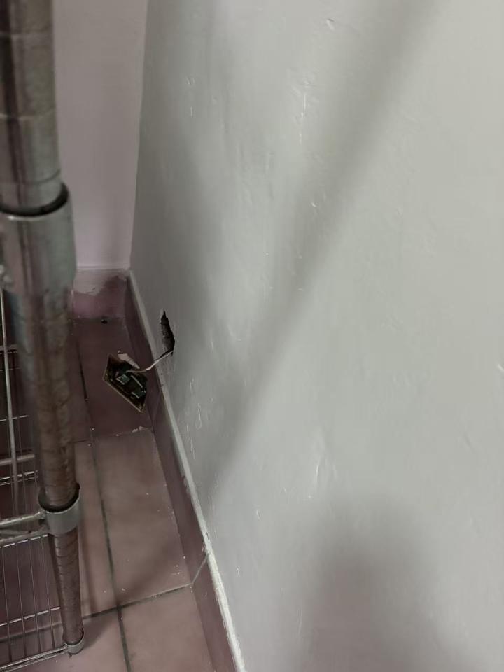 電線裝修案件圖片