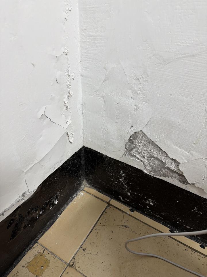 壁癌處理案件圖片